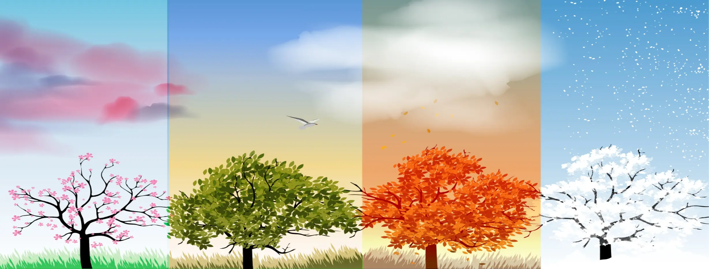 Image for Four Distinct Seasons